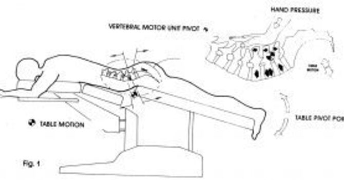 Flexion Distraction image