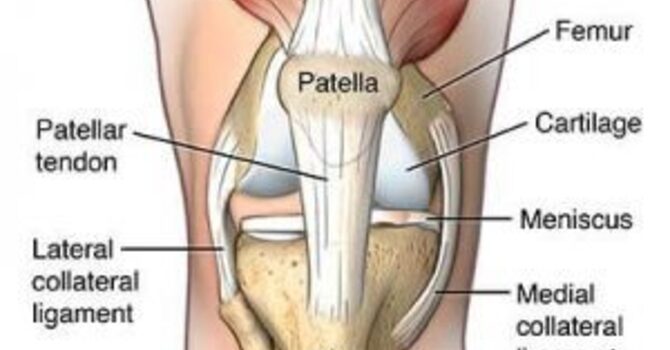 Knee Pain