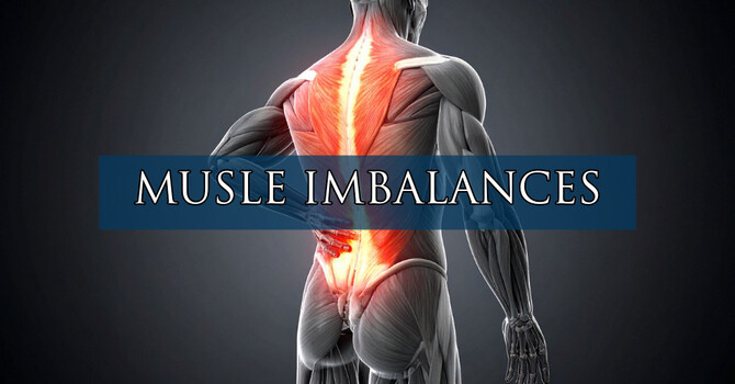 How Muscle Imbalances Lead to Chronic Pain (And How to Fix Them) image