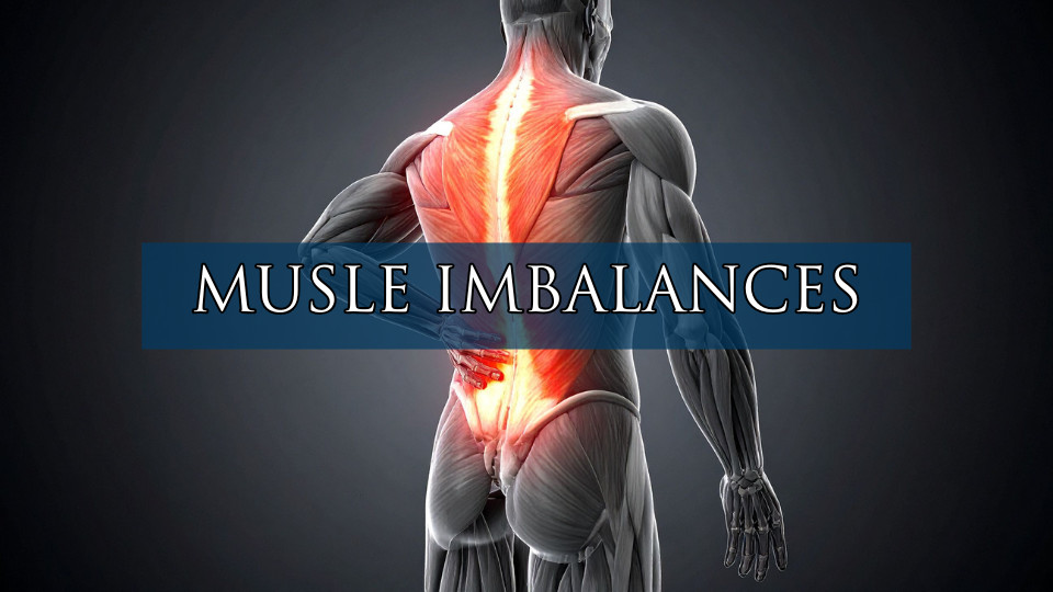 How Muscle Imbalances Lead to Chronic Pain (And How to Fix Them ...