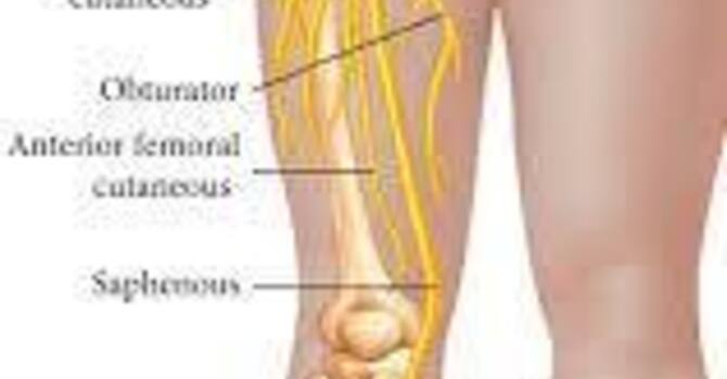 Why Can a Problem in Your Back Cause Pain Down Your Leg?