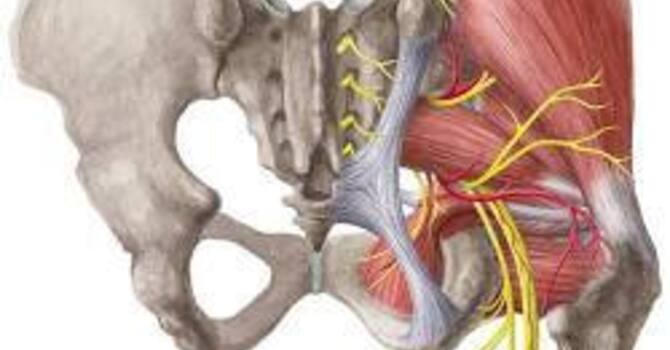 Why Hip Extension Matters When You Walk, Run and Lift
